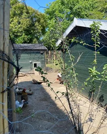 Vakantiehuis Het Blij Hoen *