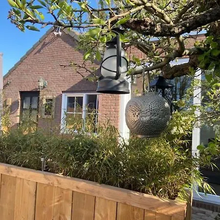 Het Blij Hoen Tatil Evi *