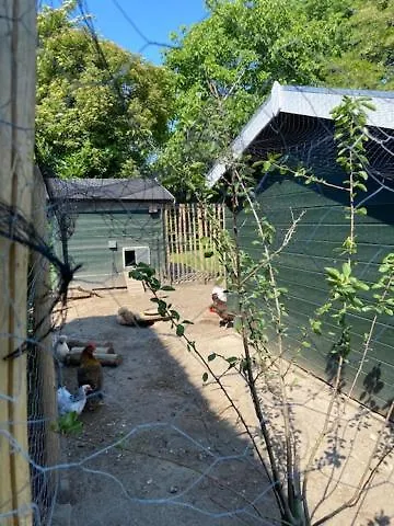 Prázdninový dům Het Blij Hoen *